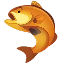 orange fish